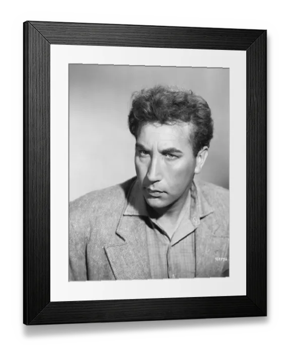 Framed Print : The Lady Killers Framed Print : The Lady Killers