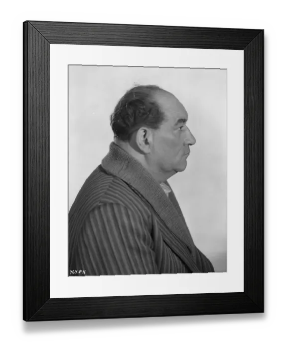 Framed Print : The Lady Killers Framed Print : The Lady Killers