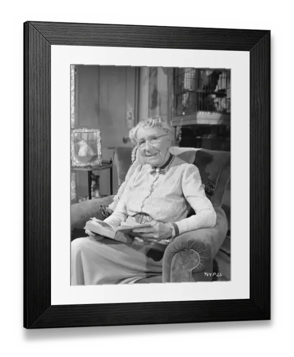 Framed Print : The Lady Killers Framed Print : The Lady Killers