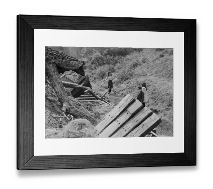 Framed Print : The Railway Children