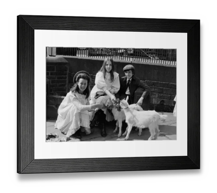 Framed Print : The Railway Children