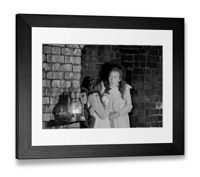 Framed Print : The Railway Children Framed Print : The Railway Children