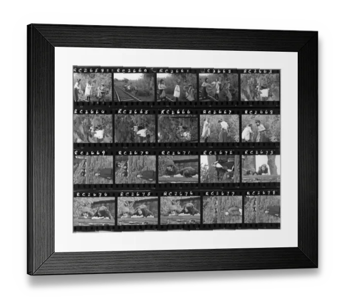 Framed Print : The Railway Children Framed Print : The Railway Children