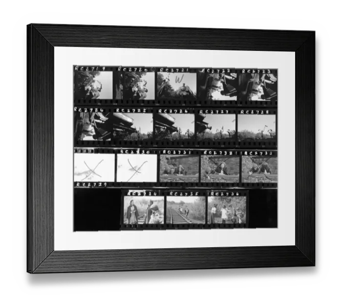 Framed Print : The Railway Children Framed Print : The Railway Children
