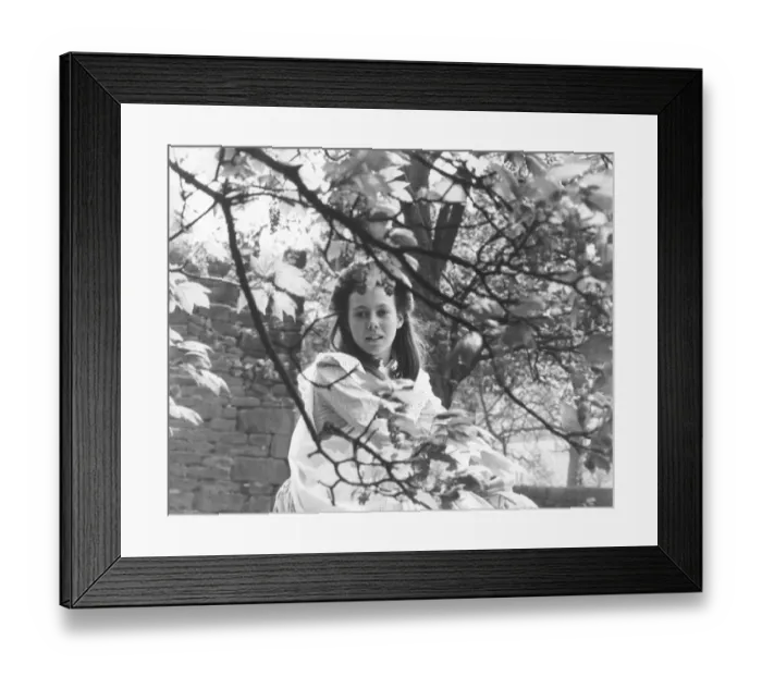 Framed Print : The Railway Children Framed Print : The Railway Children