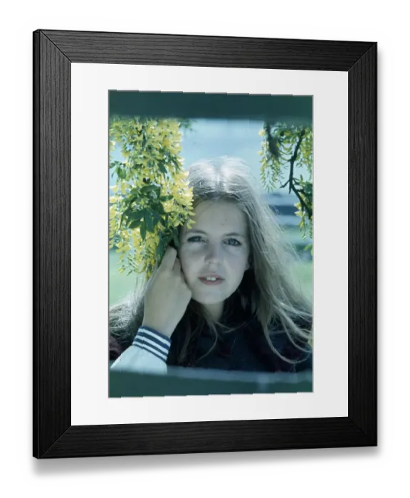 Framed Print : The Railway Children Framed Print : The Railway Children