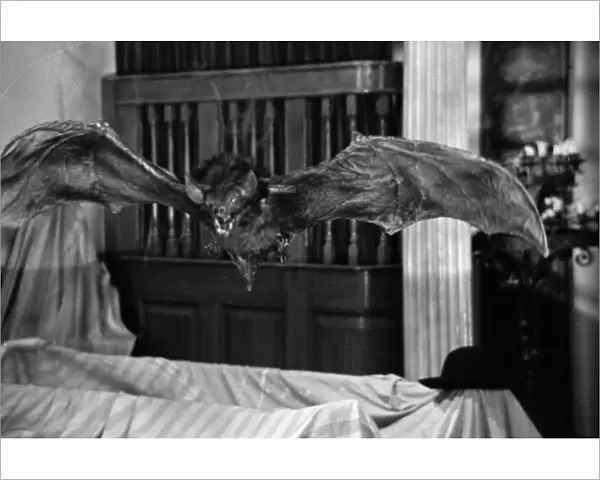 A scene from Scars Of Dracula