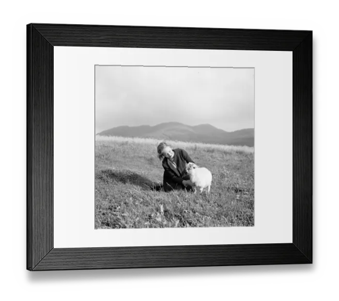 Framed Print : Whisky Galore Framed Print : Whisky Galore