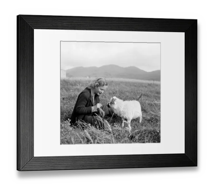 Framed Print : Whisky Galore Framed Print : Whisky Galore