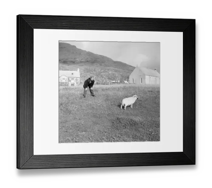 Framed Print : Whisky Galore Framed Print : Whisky Galore