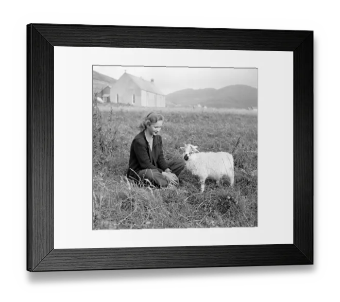 Framed Print : Whisky Galore Framed Print : Whisky Galore