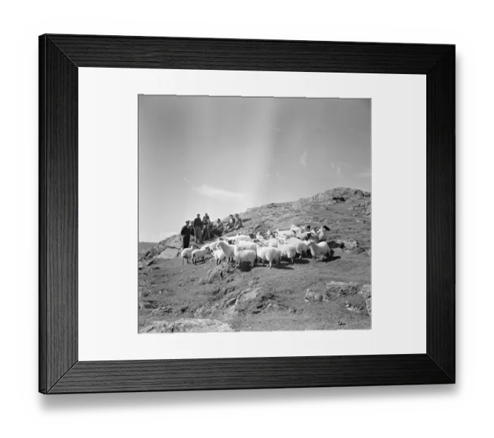 Framed Print : Whisky Galore Framed Print : Whisky Galore