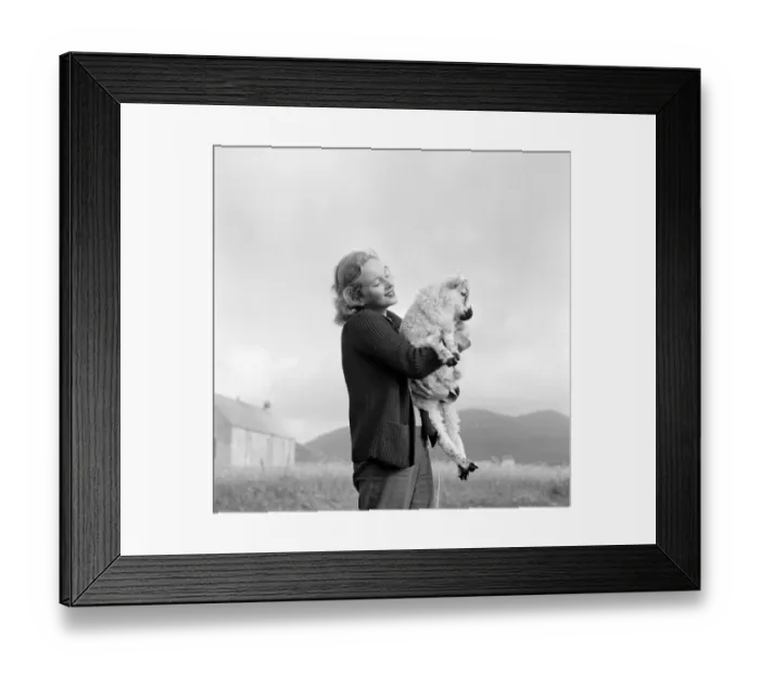 Framed Print : Whisky Galore Framed Print : Whisky Galore
