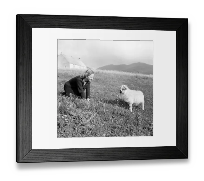 Framed Print : Whisky Galore Framed Print : Whisky Galore