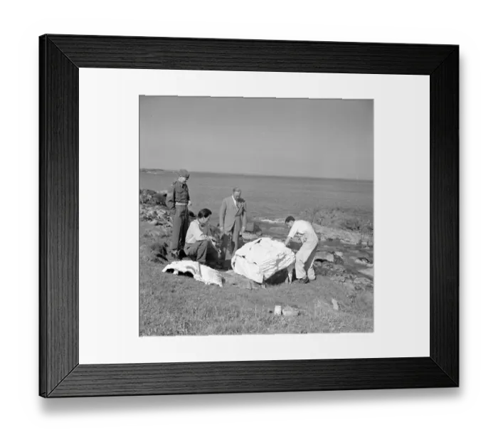 Framed Print : Whisky Galore Framed Print : Whisky Galore