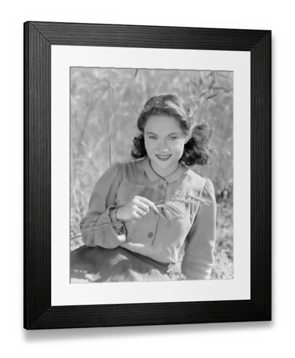 Framed Print : Whisky Galore Framed Print : Whisky Galore
