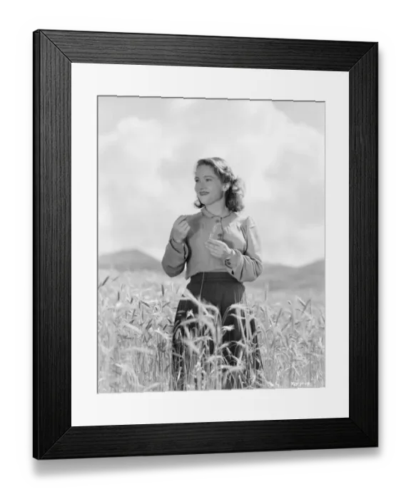 Framed Print : Whisky Galore Framed Print : Whisky Galore