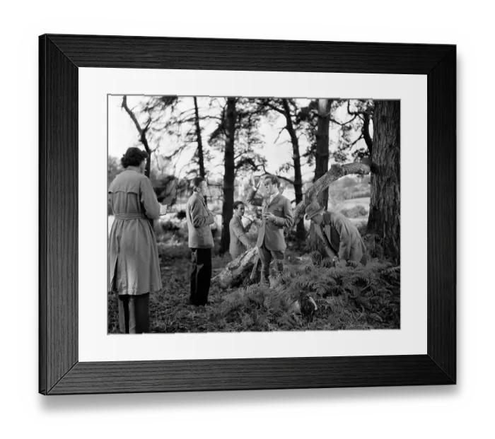 Framed Print : Kind Hearts And Coronets Framed Print : Kind Hearts And Coronets