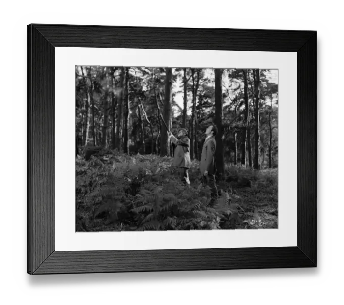 Framed Print : Kind Hearts And Coronets Framed Print : Kind Hearts And Coronets