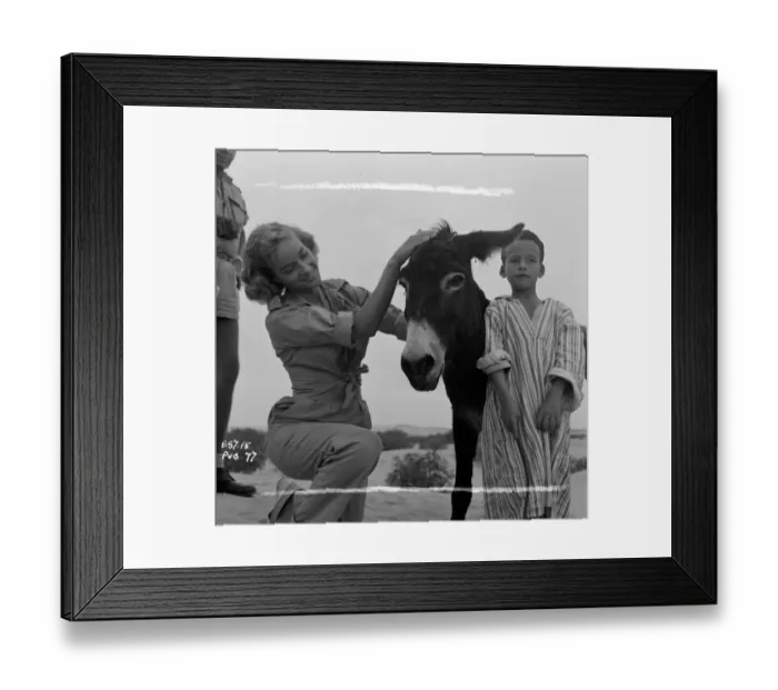 Framed Print : Ice Cold In Alex