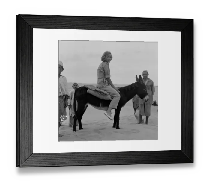 Framed Print : Ice Cold In Alex