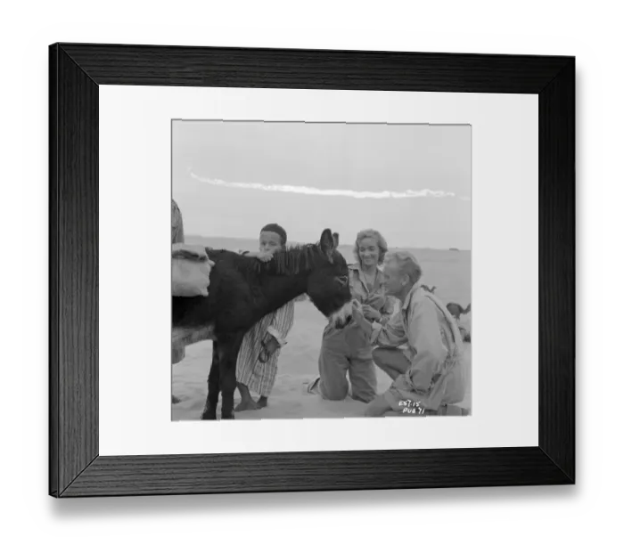 Framed Print : Ice Cold In Alex Framed Print : Ice Cold In Alex