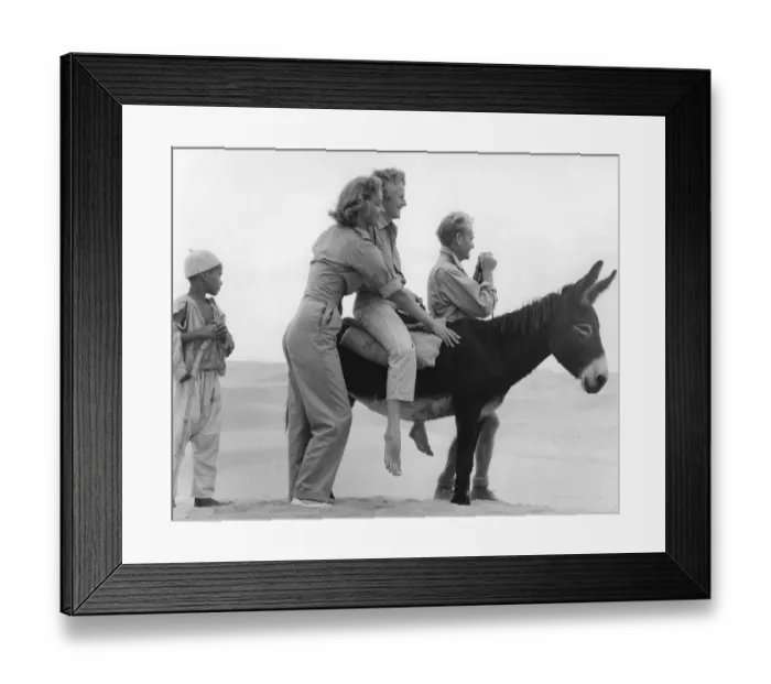 Framed Print : Ice Cold In Alex Framed Print : Ice Cold In Alex