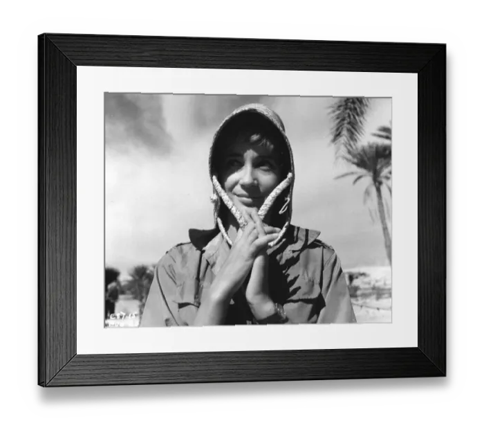 Framed Print : Ice Cold In Alex