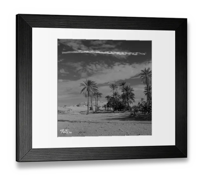 Framed Print : Ice Cold In Alex Framed Print : Ice Cold In Alex