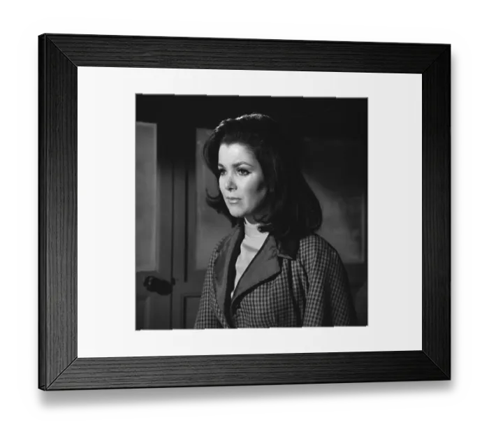 Framed Print : Daleks Invasion Earth Framed Print : Daleks Invasion Earth