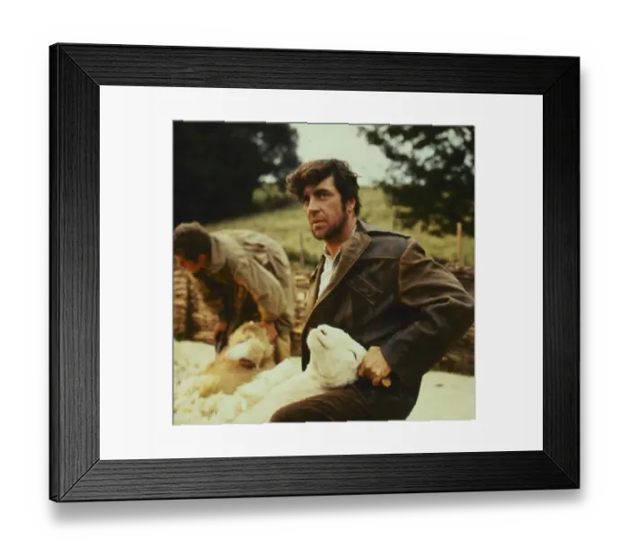 Framed Print : Far From The Madding Crowd