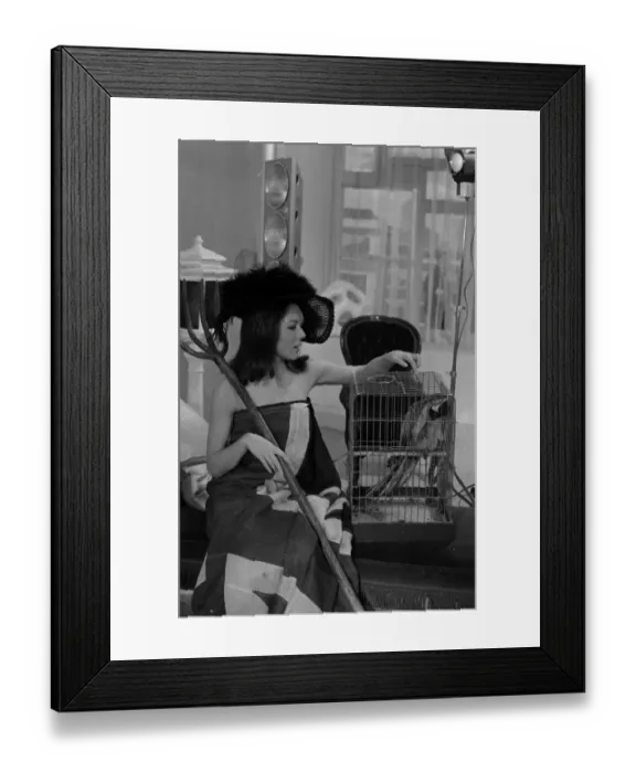 Framed Print : The Avengers, Season 5 - The Bird Who Knew Too Much Framed Print : The Avengers, Season 5 - The Bird Who Knew Too Much