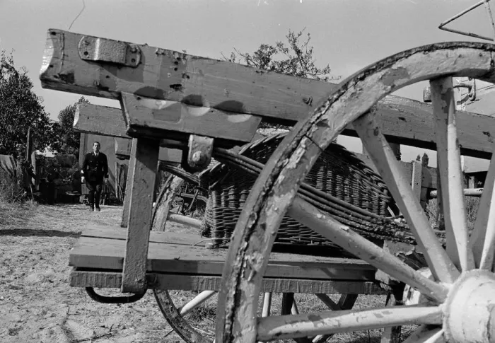 Framed Print : and1970 bw neg 018 Framed Print : and1970 bw neg 018