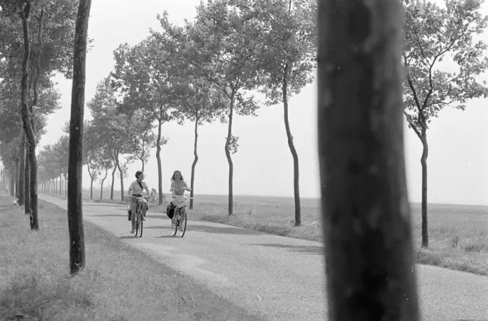 Framed Print : and1970 bw neg 091