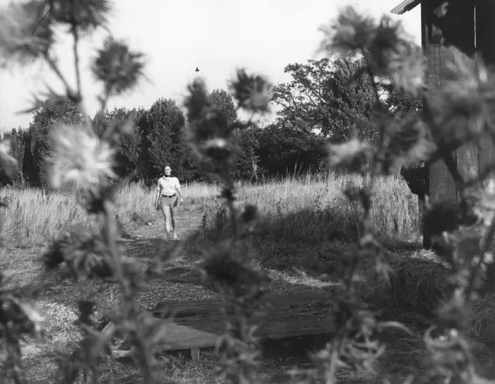 Framed Print : and1970 bw pri 054 Framed Print : and1970 bw pri 054