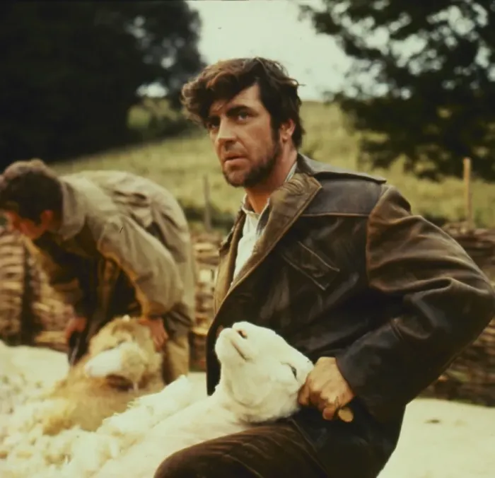 Framed Print : Far From The Madding Crowd
