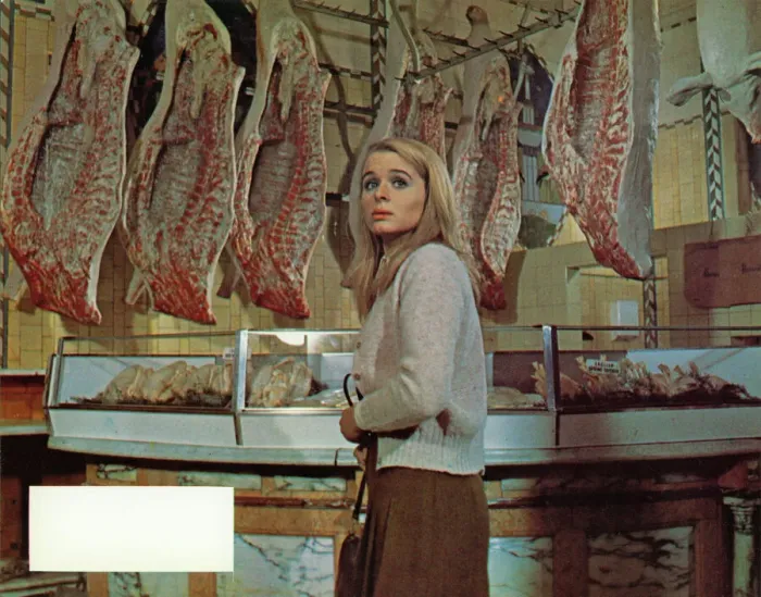 Framed Print : Hoffman (1970)