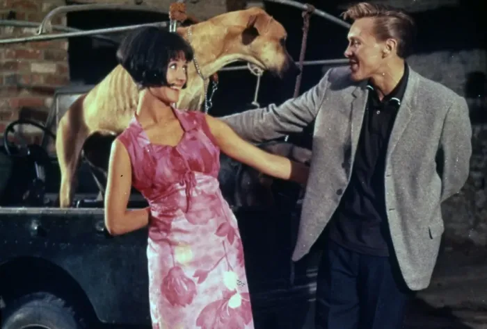 Framed Print : I ve Gotta Horse (1965) Framed Print : I ve Gotta Horse (1965)
