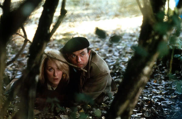 Meryl Streep and Sam Neill in a scene from Plenty (1985)