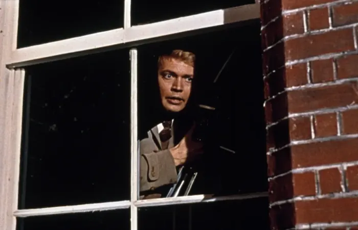 Framed Print : Peeping Tom Framed Print : Peeping Tom