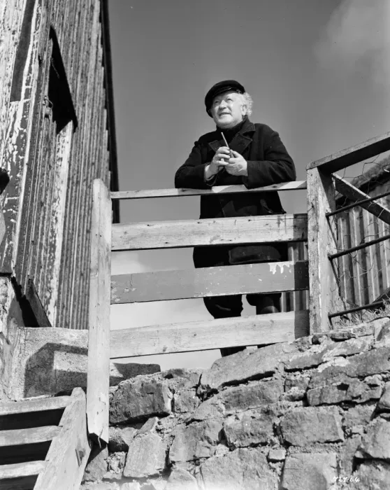 Framed Print : Whisky Galore Framed Print : Whisky Galore