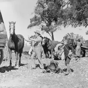 Bitter Springs (1950) Bitter Springs (1950)