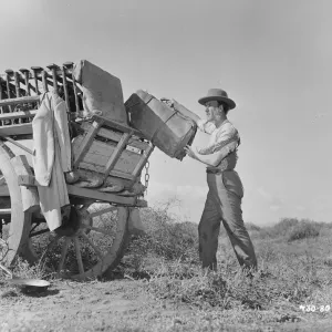 Bitter Springs (1950) Bitter Springs (1950)