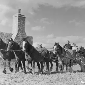 Bitter Springs (1950) Bitter Springs (1950)