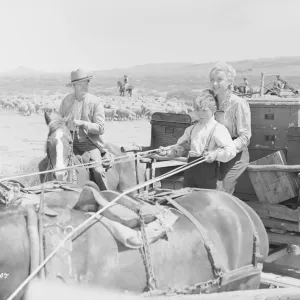 Bitter Springs (1950) Bitter Springs (1950)