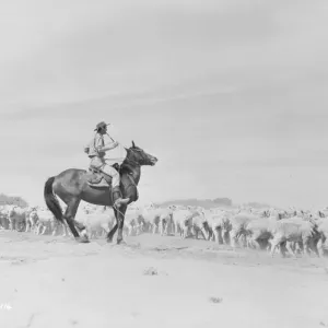 Bitter Springs (1950) Bitter Springs (1950)