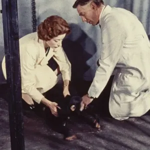 Dr Decker and Margaret with Konga as a chimp Dr Decker and Margaret with Konga as a chimp