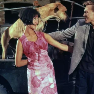 I ve Gotta Horse (1965)