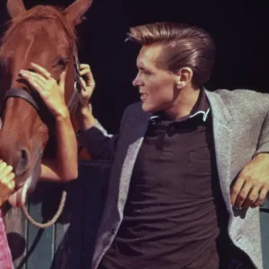 I ve Gotta Horse (1965)