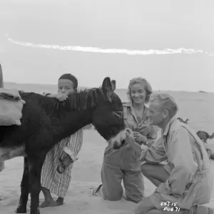 Ice Cold In Alex Our beautiful Wall Art and Photo Gifts include Framed